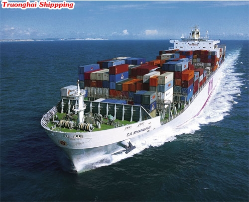   Welcome to Truong Hai Shipping International